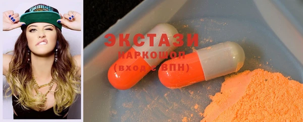 ECSTASY Богородицк