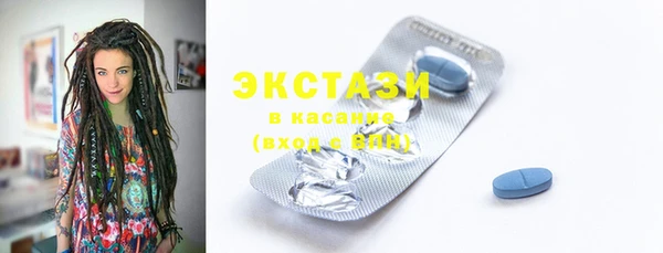 ECSTASY Богородицк